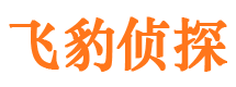 新河侦探公司